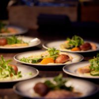 Plates of salmon, puré and greens